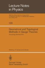 Geometrical and Topological Methods in Gauge Theories af S. Shnider