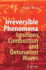 Irreversible Phenomena af Kunio Terao