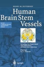 Human Brain Stem Vessels af Henri M. Duvernoy