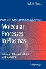 Molecular Processes in Plasmas af Yukikazu Itikawa