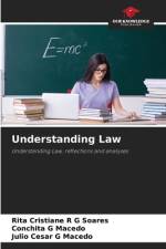 Understanding Law af Rita Cristiane R G Soares