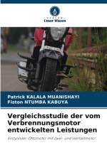 Vergleichsstudie der vom Verbrennungsmotor entwickelten Leistungen af Patrick Kalala Muanishayi