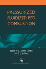 Pressurized Fluidized Bed Combustion af M. Alvarez Cuenca