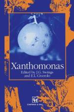 Xanthomonas af Lucia Civetta