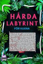 Hårda labyrintböcker för vuxna Bok 2 af Edward Afrifa Manu