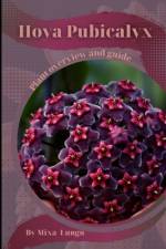 Hoya Pubicalyx af Mixa Lungu