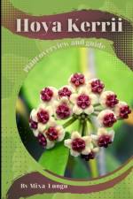 Hoya Kerrii af Mixa Lungu