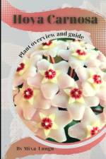 Hoya Carnosa af Mixa Lungu