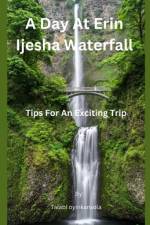 A Day At Erin Ijesha Waterfall af Oyinkansola Talabi