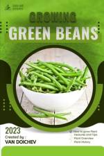 Green Beans af Van Doichev