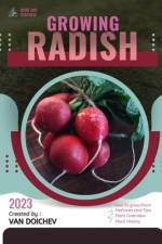 Radish af Van Doichev