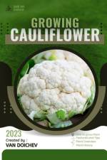 Cauliflower af Van Doichev