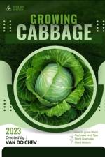 Cabbage af Van Doichev