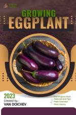 Eggplant af Van Doichev