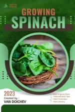 Spinach af Van Doichev