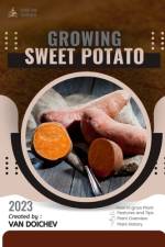 Sweet Potato af Van Doichev