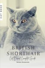 British Shorthair af Ruslana Shurpatenko