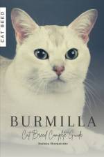 Burmilla af Ruslana Shurpatenko