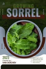 Sorrel af Van Doichev