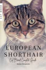 European Shorthair af Ruslana Shurpatenko