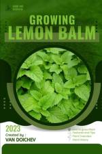 Lemon Balm af Van Doichev