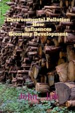 Environmental Pollution How Influences Economy Development af John Lok