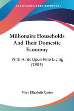 Millionaire Households And Their Domestic Economy af Mary Elizabeth Carter