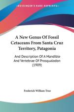 A New Genus Of Fossil Cetaceans From Santa Cruz Territory, Patagonia af Frederick William True