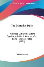 The Labrador Duck af William Dutcher