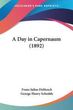 A Day in Capernaum (1892) af Franz Julius Delitzsch