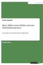 Harry Hallers innere Welten und sein Individuationsprozess af Anton Schmidt
