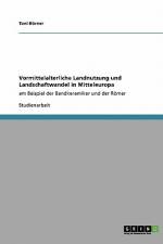 Vormittelalterliche Landnutzung und Landschaftwandel in Mitteleuropa af Toni Börner