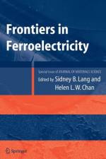 Frontiers of Ferroelectricity af Sidney B. Lang