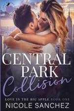 Central Park Collision af Nicole Sanchez