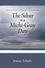 The Silver in a Michi-Gray Day af Joanna Schultz