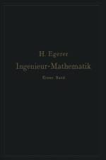 Ingenieur-Mathematik. Lehrbuch der höheren Mathematik für die technischen Berufe af Heinz Egerer