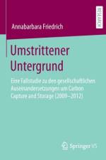 Umstrittener Untergrund af Annabarbara Friedrich