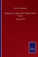 Statutes at Large of the State of New York af John W Edmonds