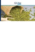 MOSH (MUNG BEAN) YETISHTIRISH AGROTEXNOLOGIYASI af Xusanjon Idrisov