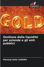 Gestione della liquidità per aziende e gli enti pubblici af Mamady Balla Camara