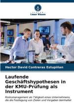 Laufende Geschäftshypothesen in der KMU-Prüfung als Instrument af Hector David Contreras Estupiñan