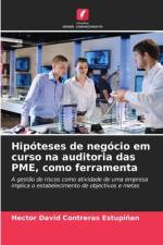 Hipóteses de negócio em curso na auditoria das PME, como ferramenta af Hector David Contreras Estupiñan