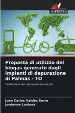 Proposta di utilizzo del biogas generato dagli impianti di depurazione di Palmas - TO af Juan Carlos Valdés Serra