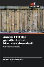 Analisi CFD del gassificatore di biomassa downdraft af Muthu Dineshkumar