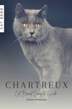 Chartreux af Ruslana Shurpatenko