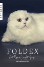 Foldex af Ruslana Shurpatenko