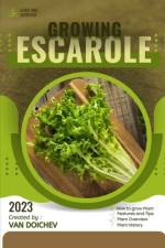 Escarole af Van Doichev