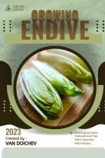 Endive af Van Doichev
