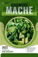 Mache af Van Doichev