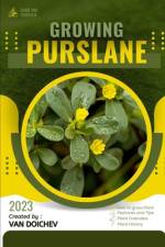 Purslane af Van Doichev